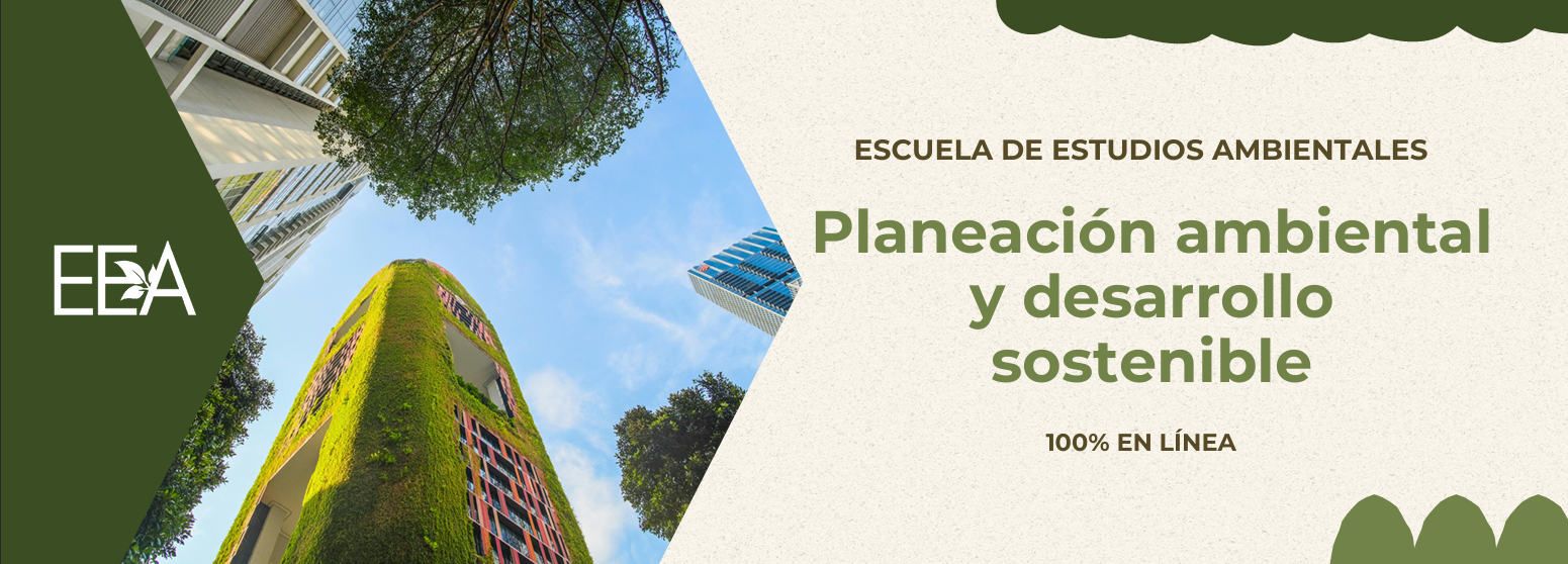 Diplomado en desarrollo